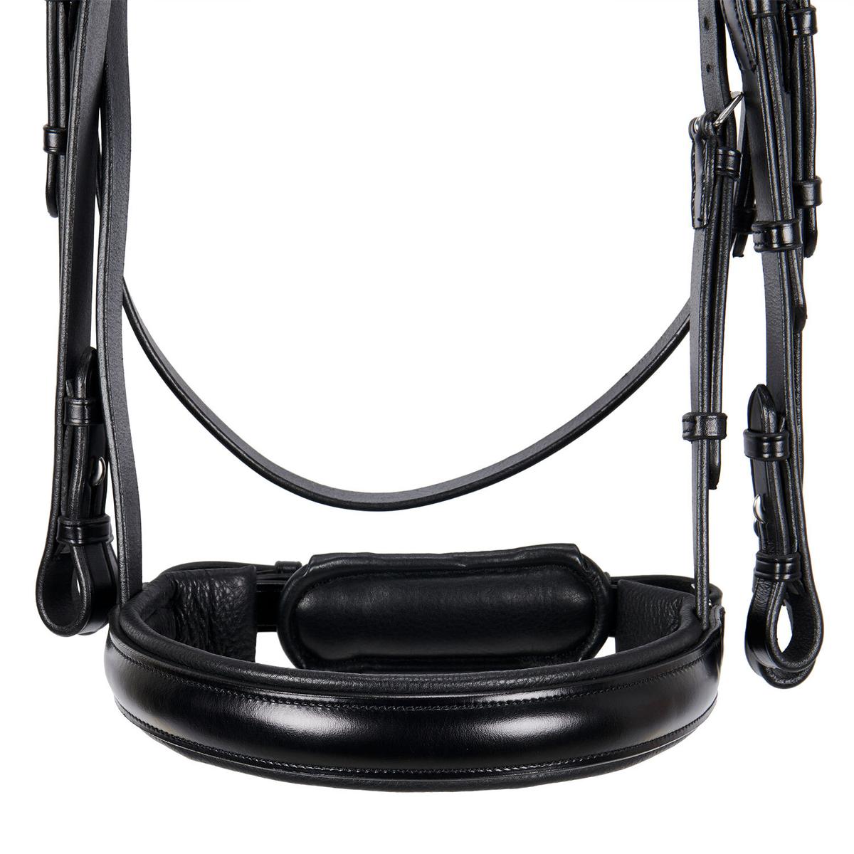 product/e/q/equestro_br00690-black_black_9.jpg
