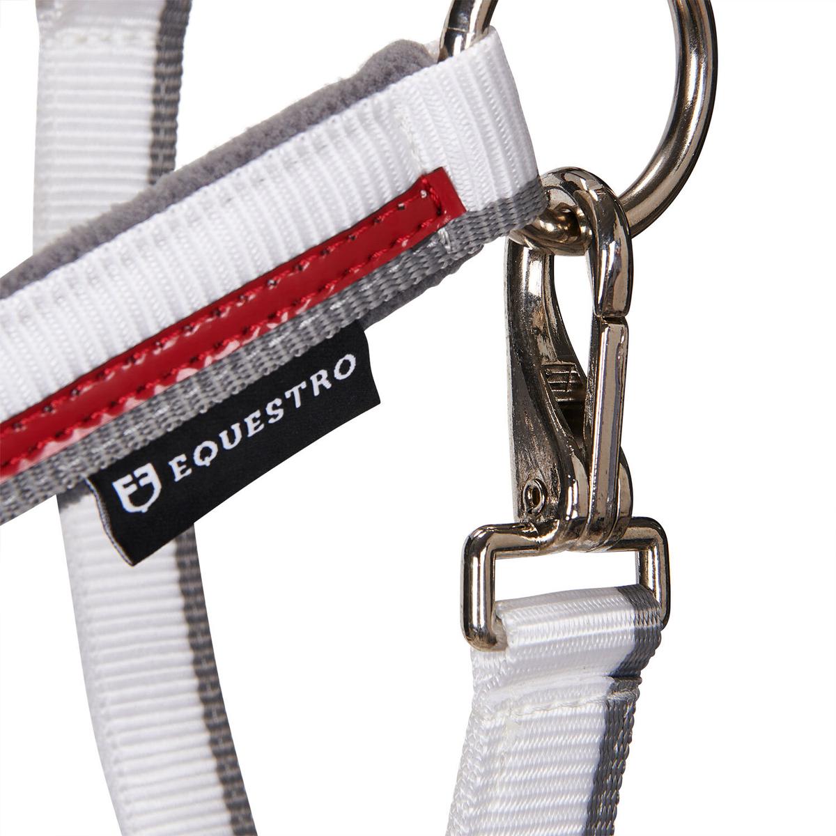 product/e/q/equestro_ca00031r-white_red_grey_ca00031r-white-red-grey_5.jpg