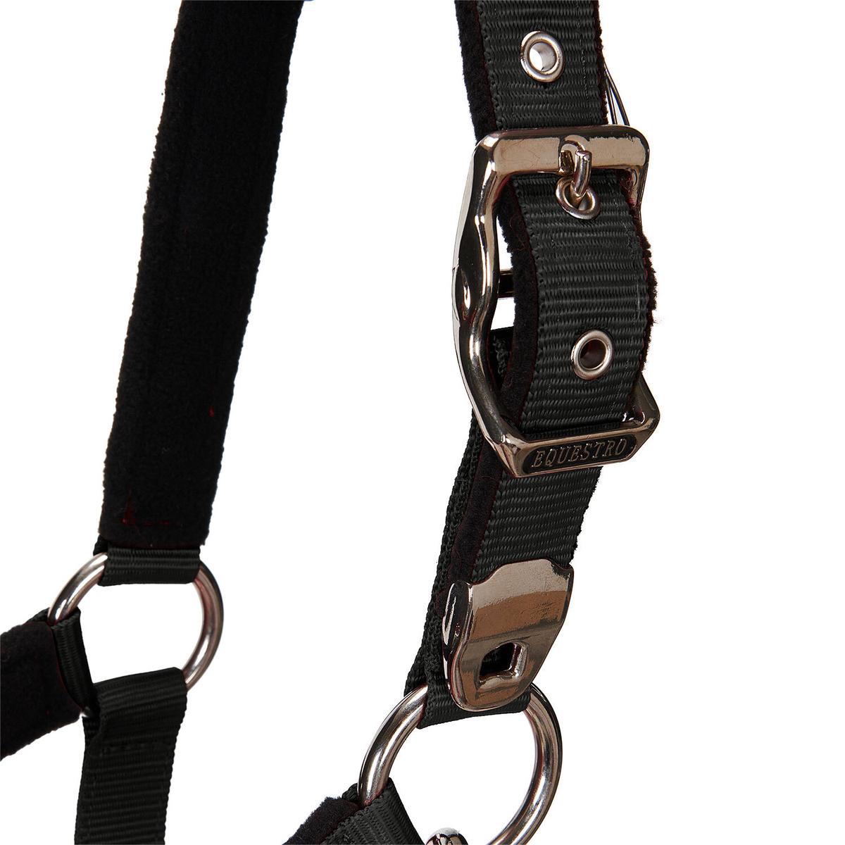 product/e/q/equestro_ca00032-black_black_5.jpg