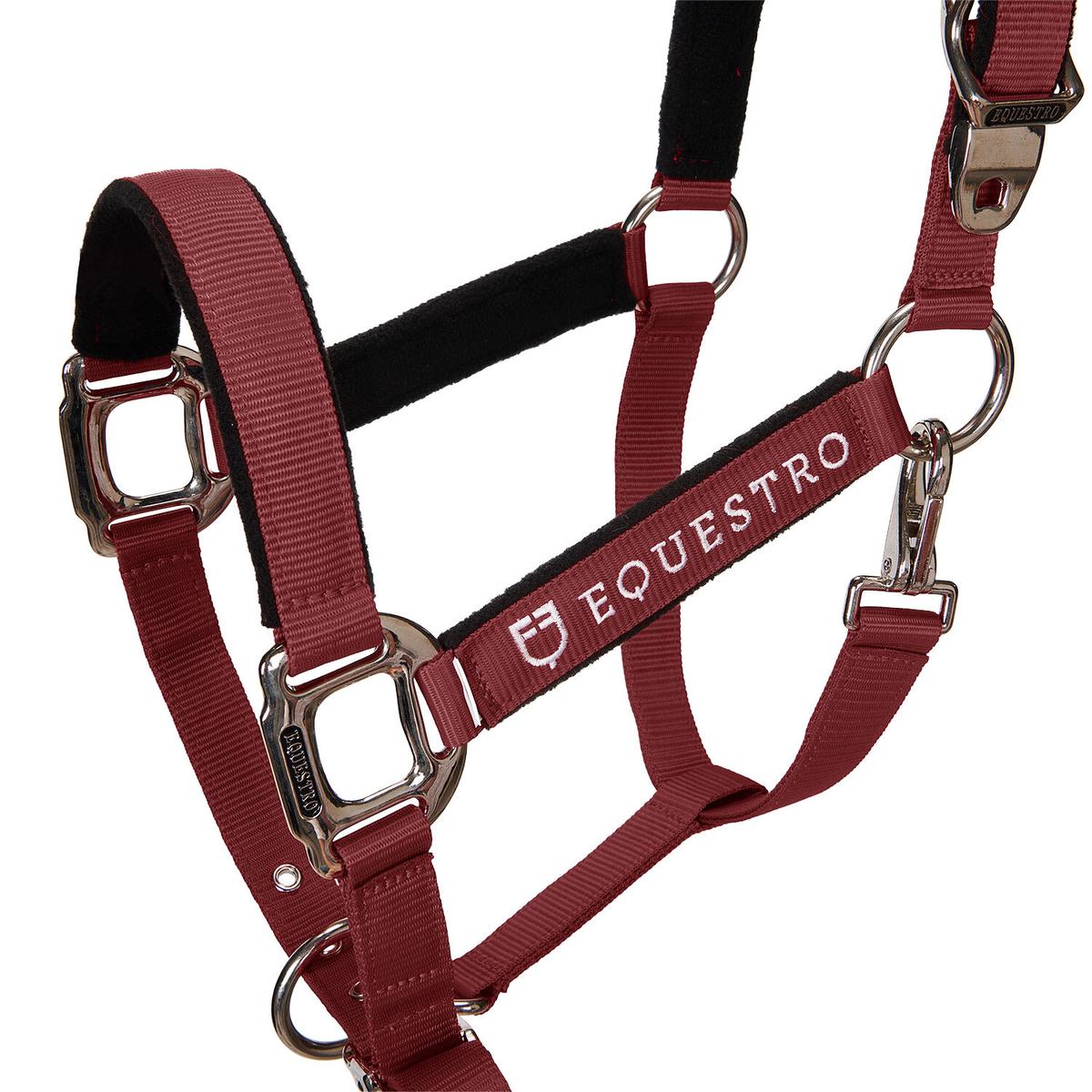 product/e/q/equestro_ca00032-burgundy_burgundy_2.jpg