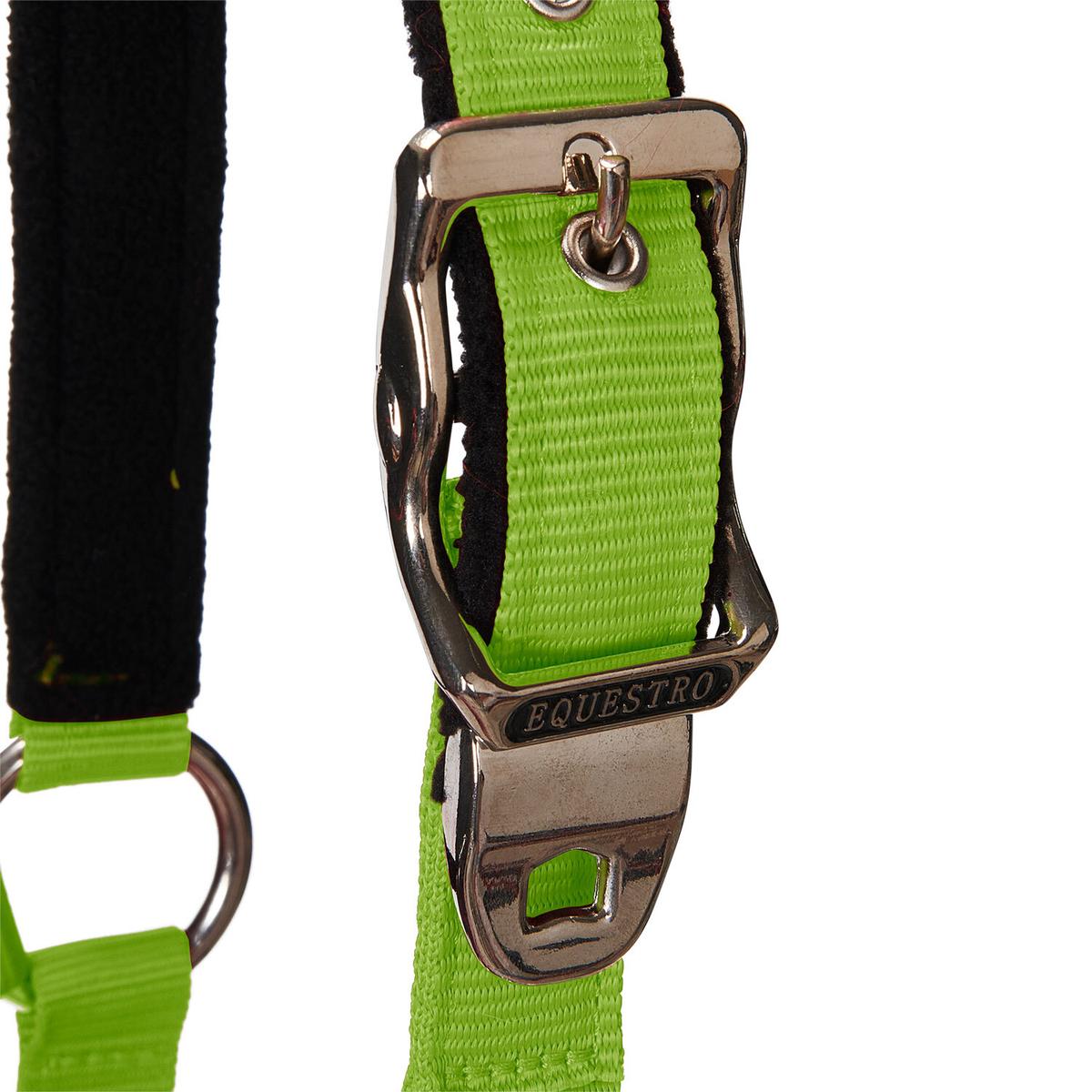 product/e/q/equestro_ca00032-lime_lime_3.jpg