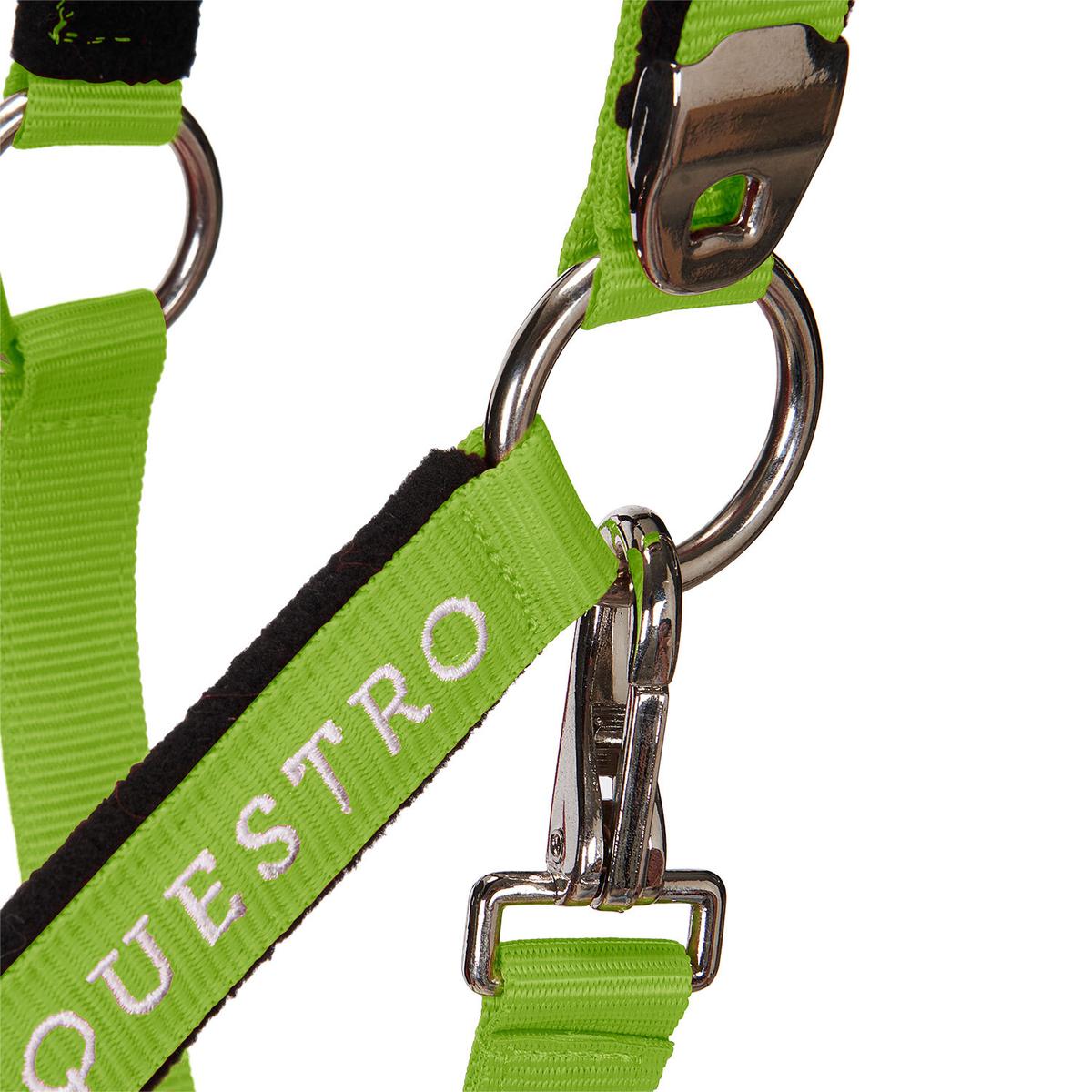 product/e/q/equestro_ca00032-lime_lime_6.jpg