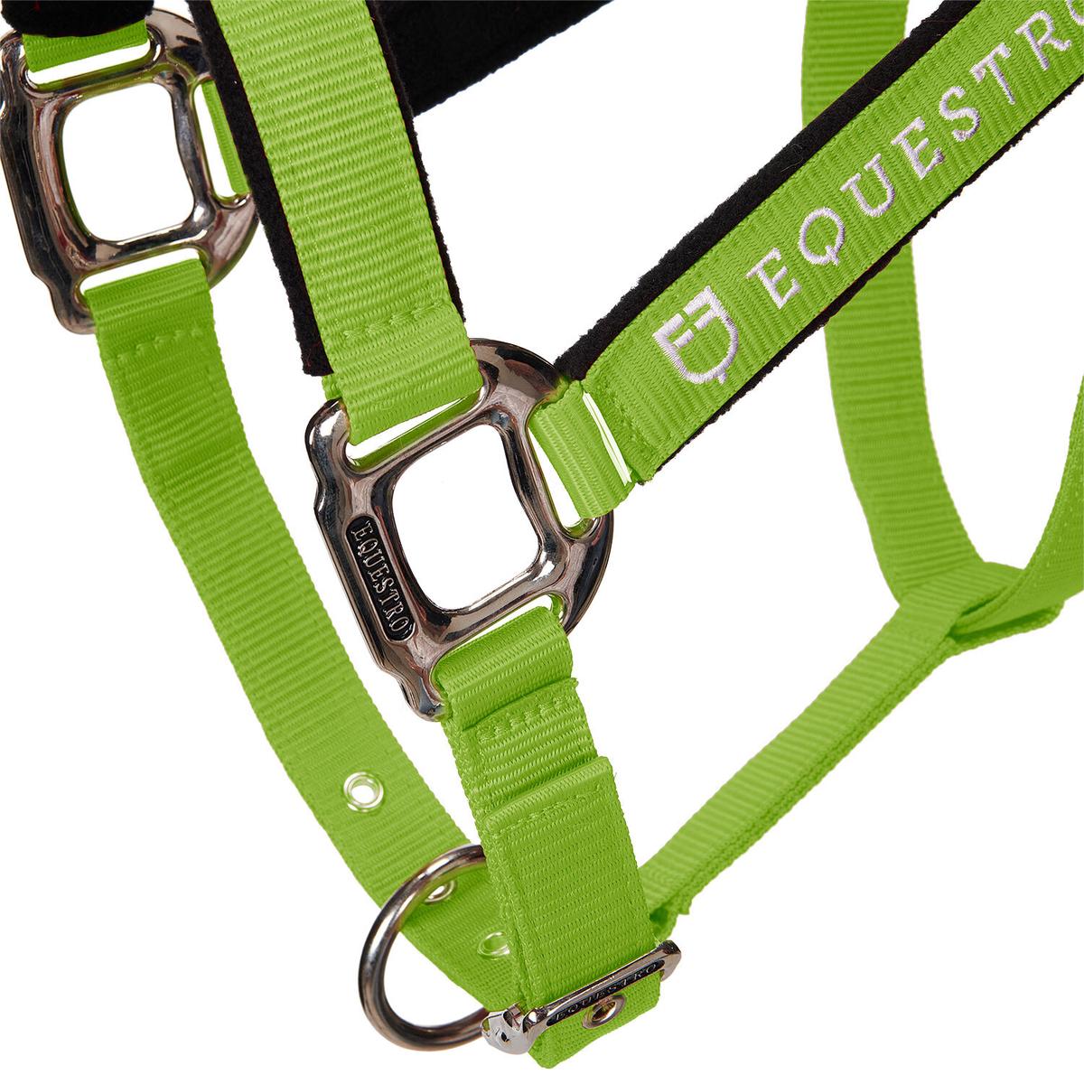 product/e/q/equestro_ca00032-lime_lime_7.jpg