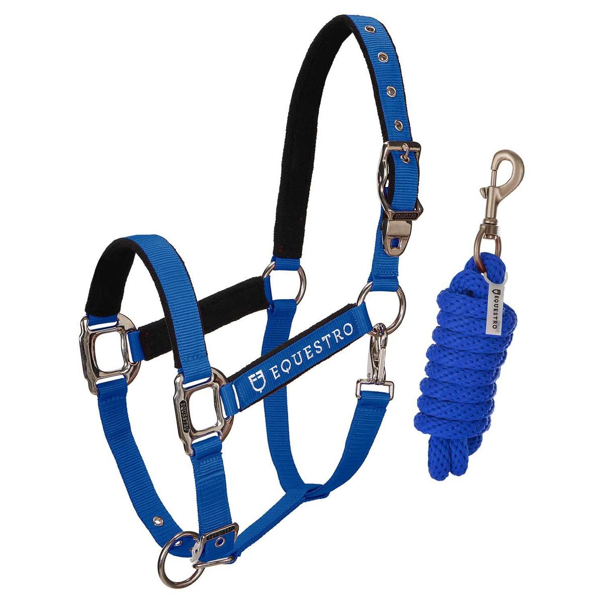 product/e/q/equestro_ca00032-royalblue_royalblue_1.jpg