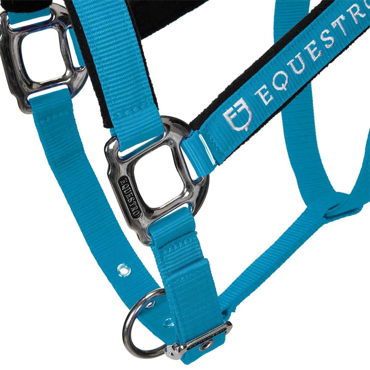 product/e/q/equestro_ca00032-turquoise_turquoise_7.jpg