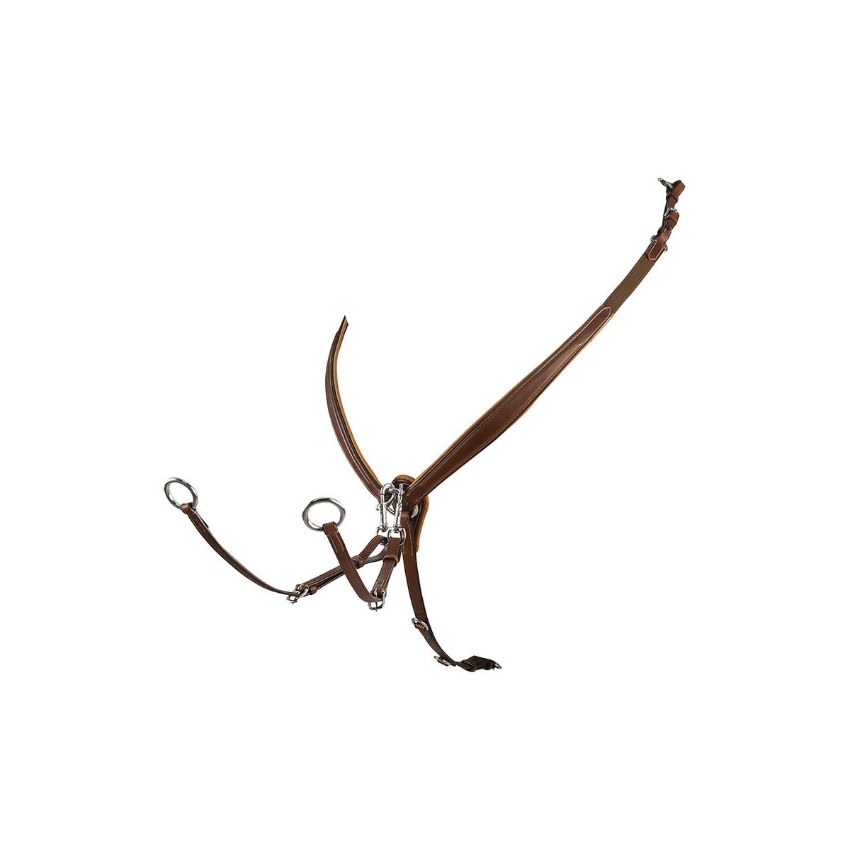 product/e/q/equestro_et02000-cognac_marron_1.jpg