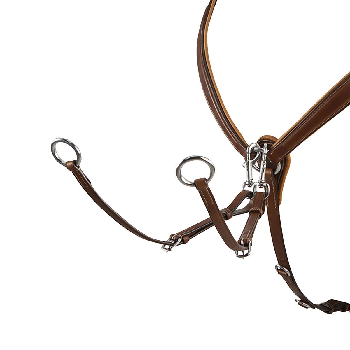 product/e/q/equestro_et02000-cognac_marron_2.jpg