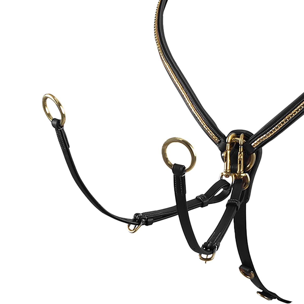 product/e/q/equestro_et02011-black_black_2.jpg