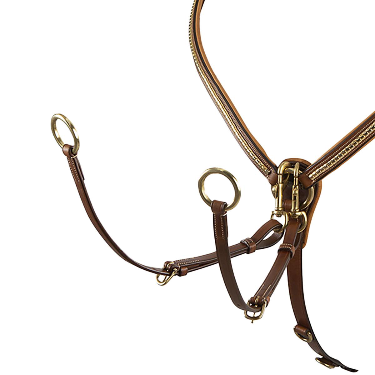 product/e/q/equestro_et02011-cognac_cognac_2.jpg