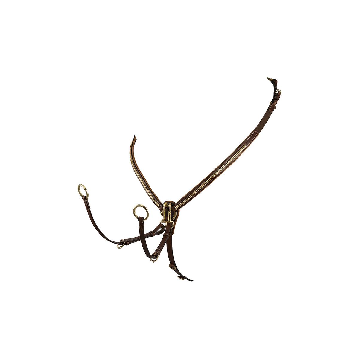 product/e/q/equestro_et02011-darkbrown_darkbrown_1.jpg