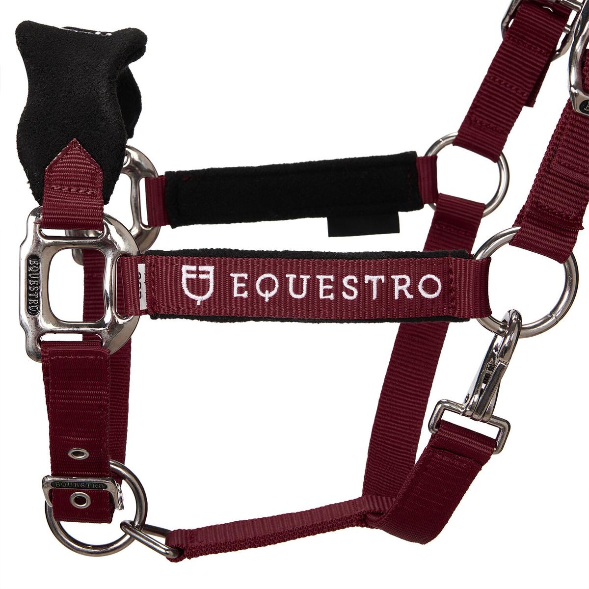 product/e/q/equestro_et05400-burgundy_et05400-burgundy_2.jpg