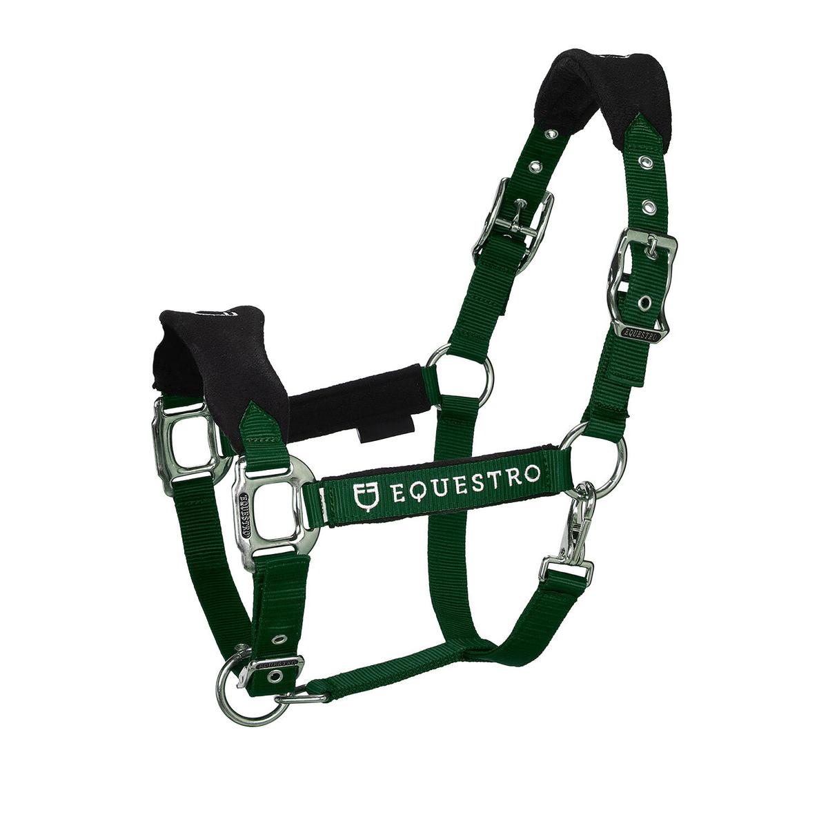 product/e/q/equestro_et05400-green_et05400-green_1.jpg