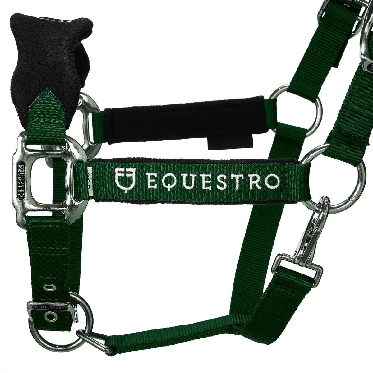 product/e/q/equestro_et05400-green_et05400-green_2.jpg