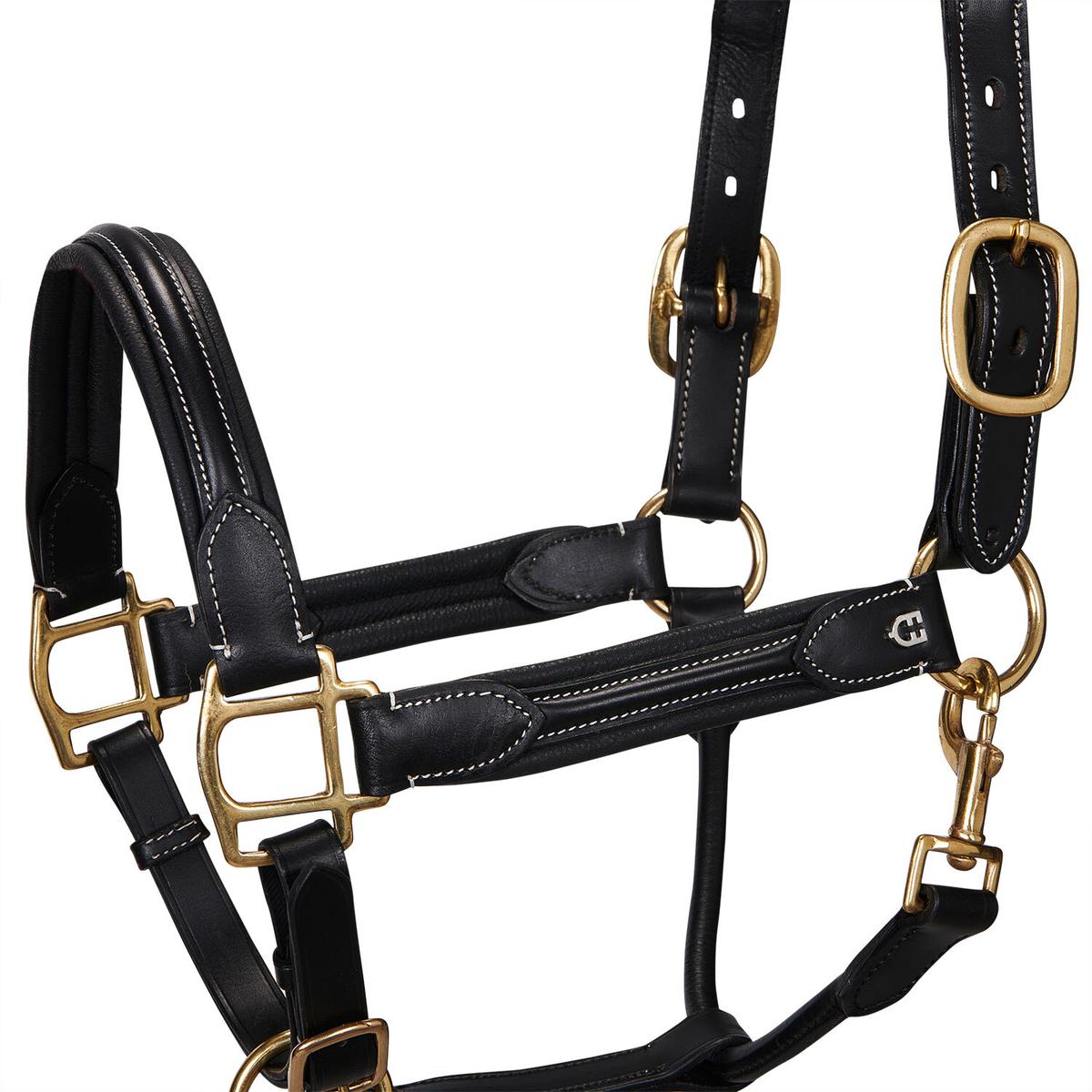 product/e/q/equestro_et05450-black_et05450-black_1.jpg
