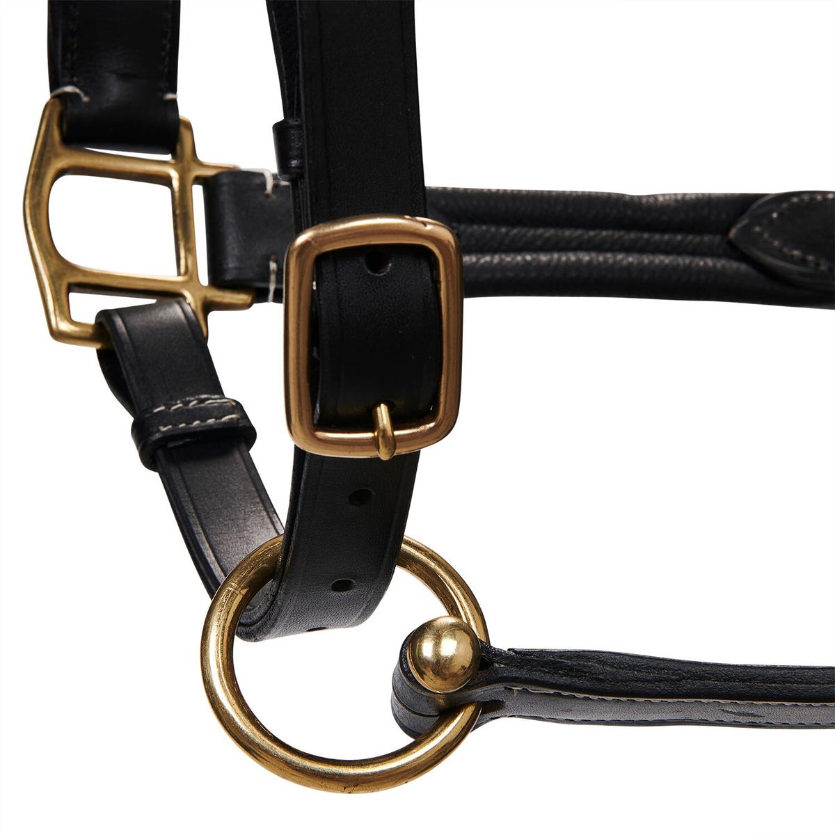 product/e/q/equestro_et05450-black_et05450-black_2.jpg