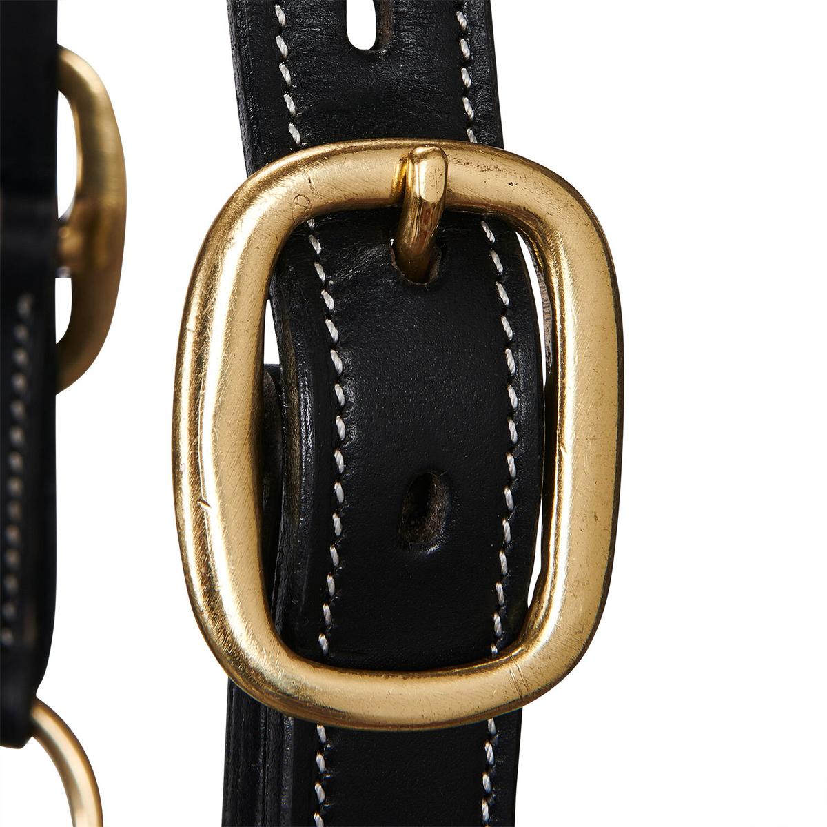 product/e/q/equestro_et05450-black_et05450-black_4.jpg