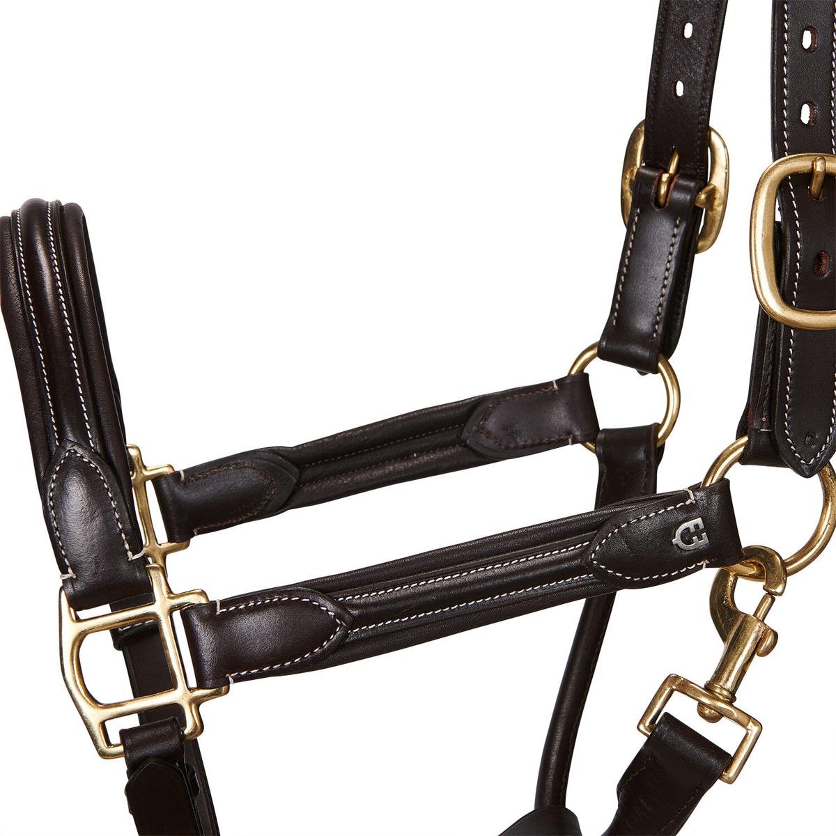 product/e/q/equestro_et05450-darkbrown_et05450-darkbrown_2.jpg