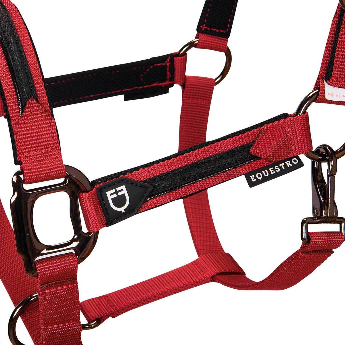 product/e/q/equestro_et08600-red_et08600-red_2.jpg