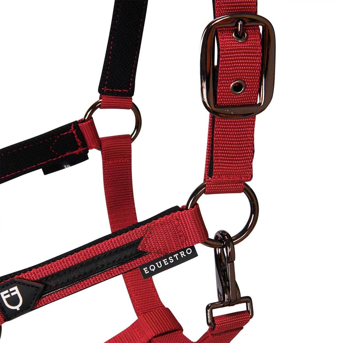 product/e/q/equestro_et08600-red_et08600-red_4.jpg