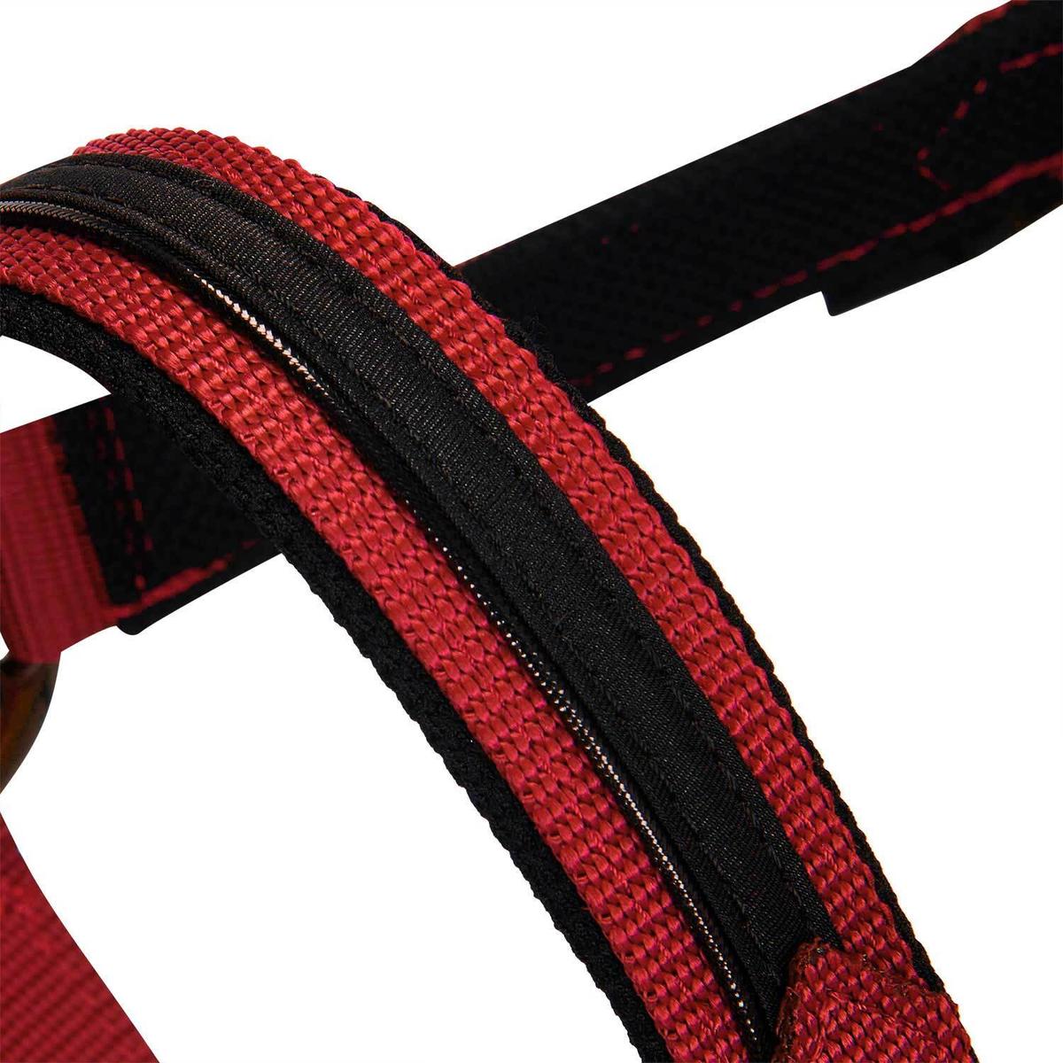 product/e/q/equestro_et08600-red_et08600-red_5.jpg