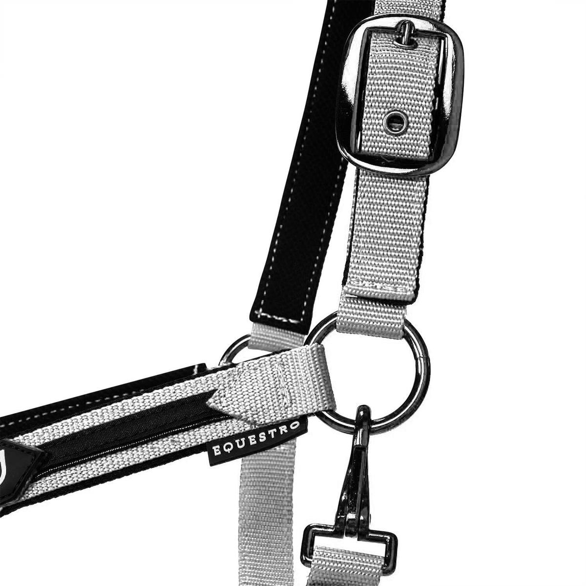product/e/q/equestro_et08600-white_et08600-white_6.jpg