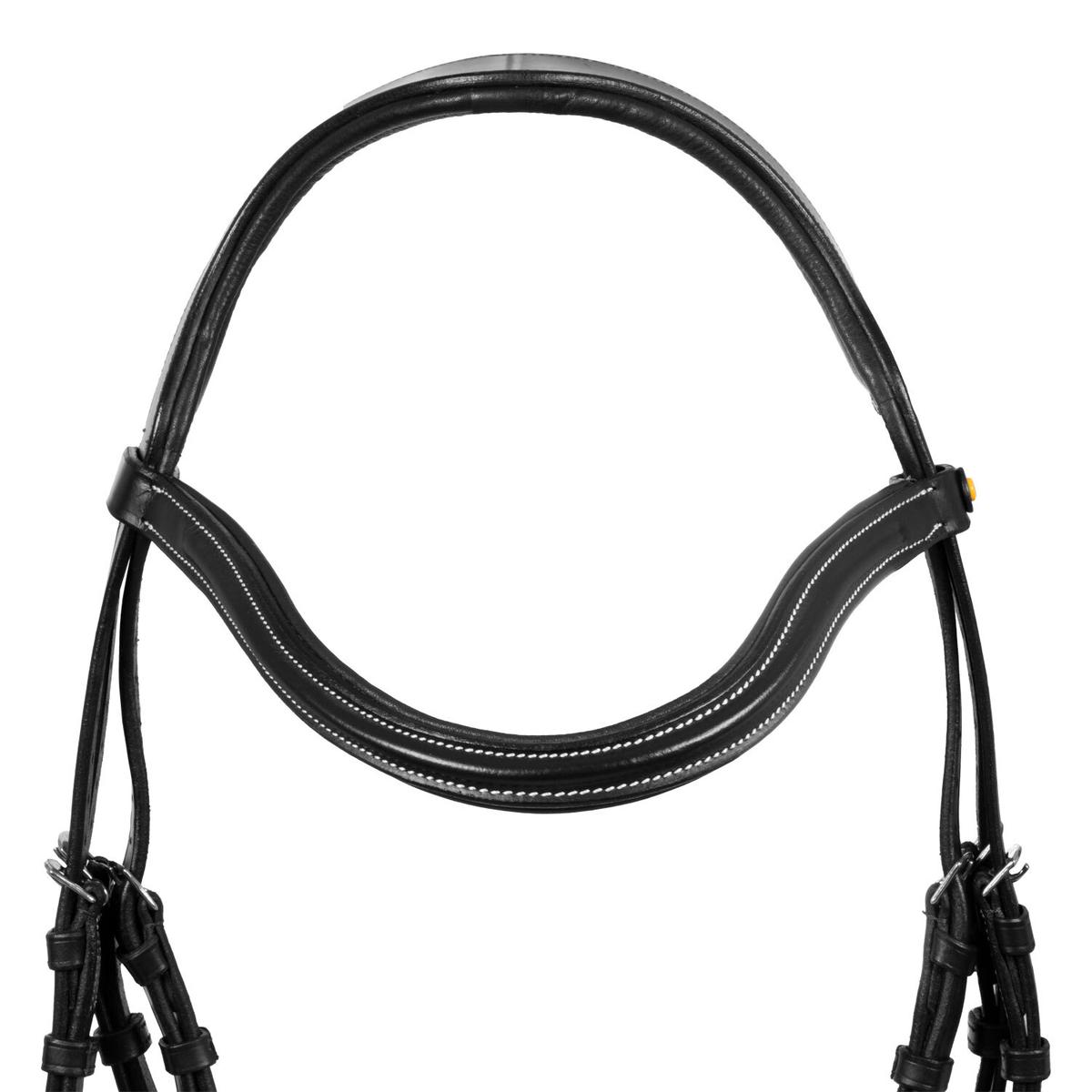 product/e/q/equestro_eth01011-black_black_3.jpg