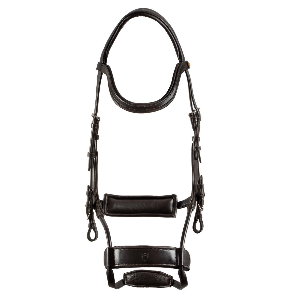 product/e/q/equestro_eth01014-dark-brown_dark-brown_2.jpg