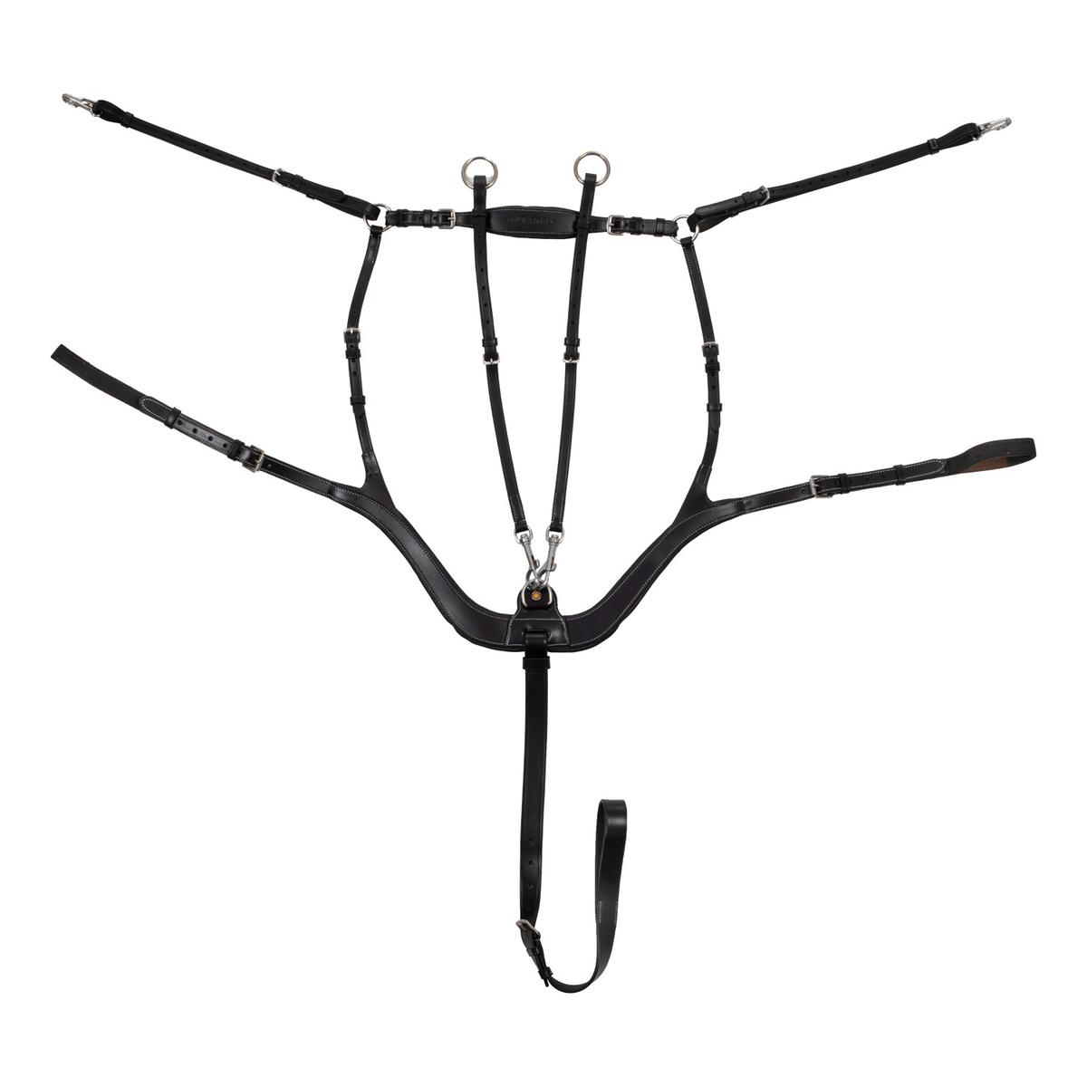 product/e/q/equestro_eth02002-black_black_1.jpg