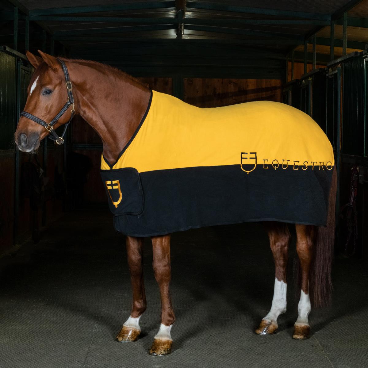 product/e/q/equestro_eth04003-black_yellow_black-yellow_5.jpg