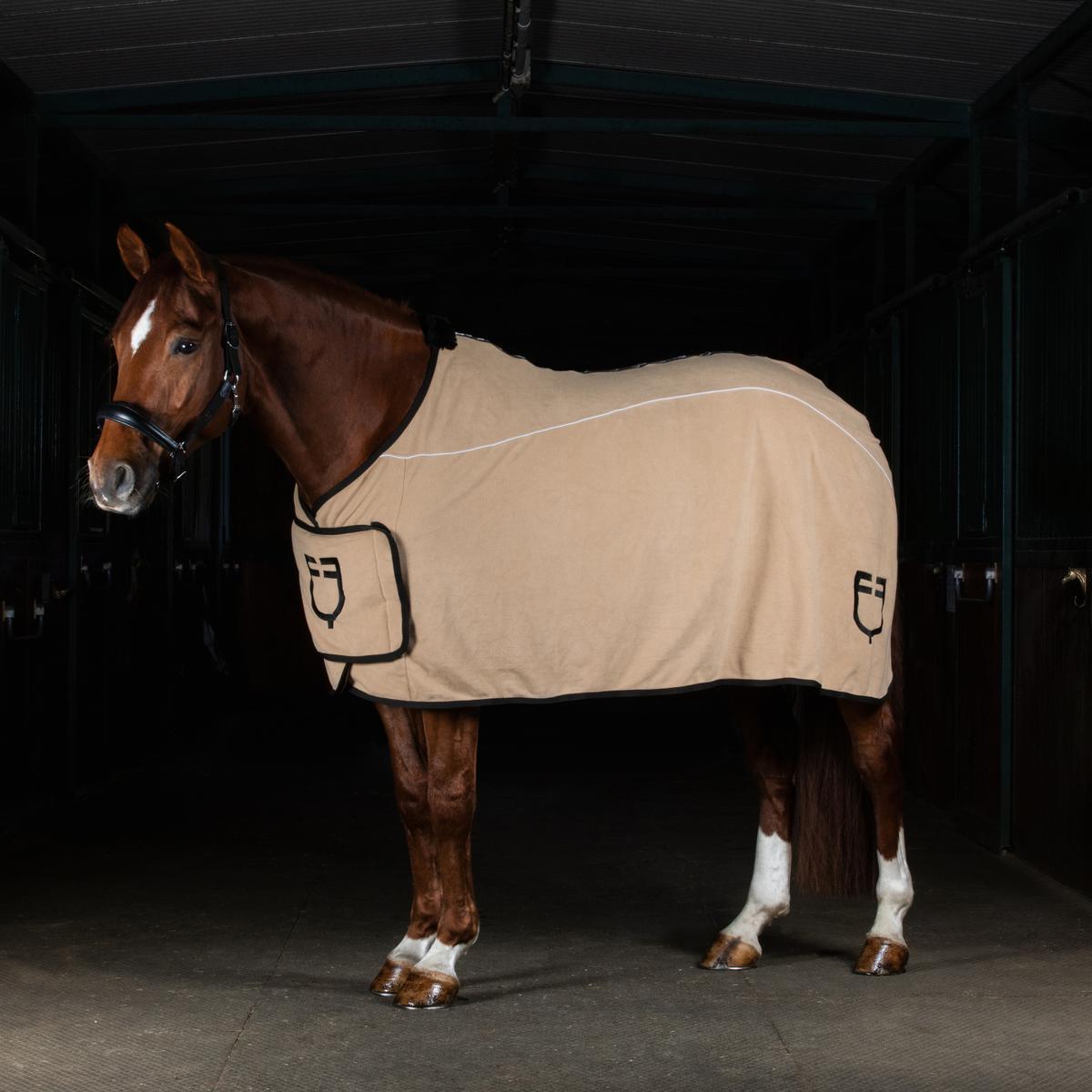 product/e/q/equestro_eth04004-beige_beige_5.jpg