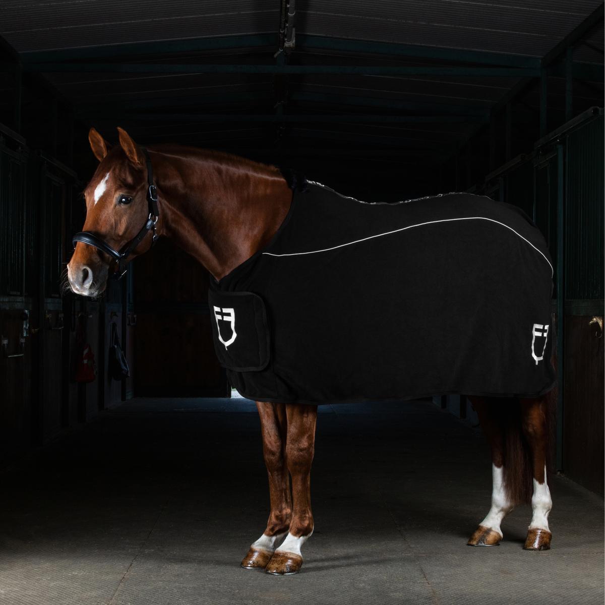product/e/q/equestro_eth04004-black_black_5.jpg