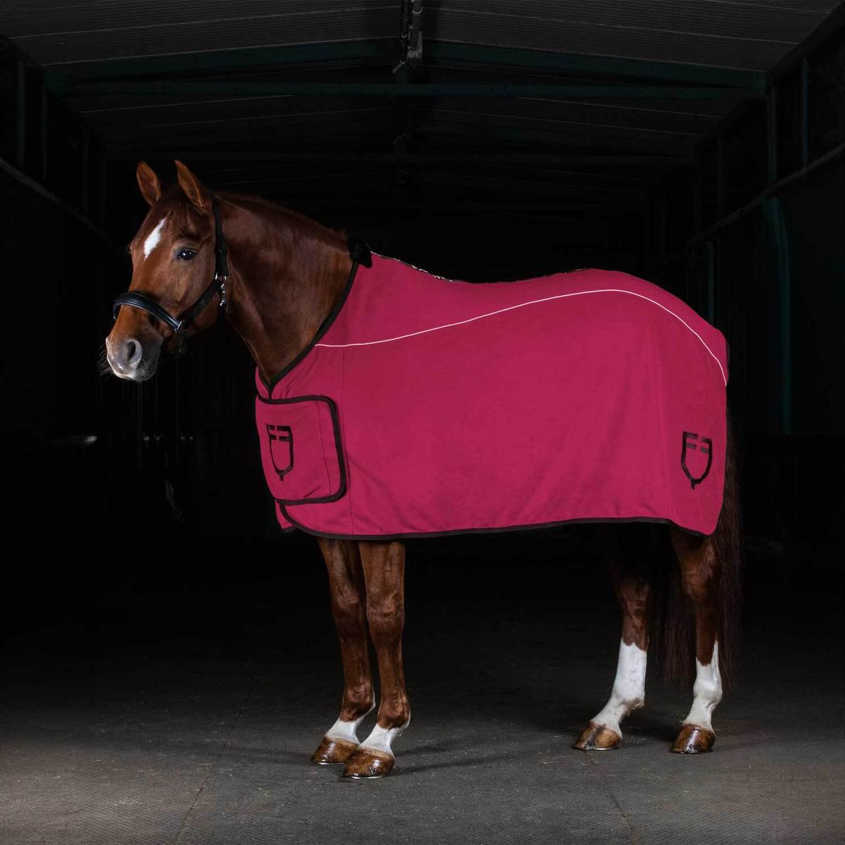 product/e/q/equestro_eth04004-burgundy_burgundy_5.jpg