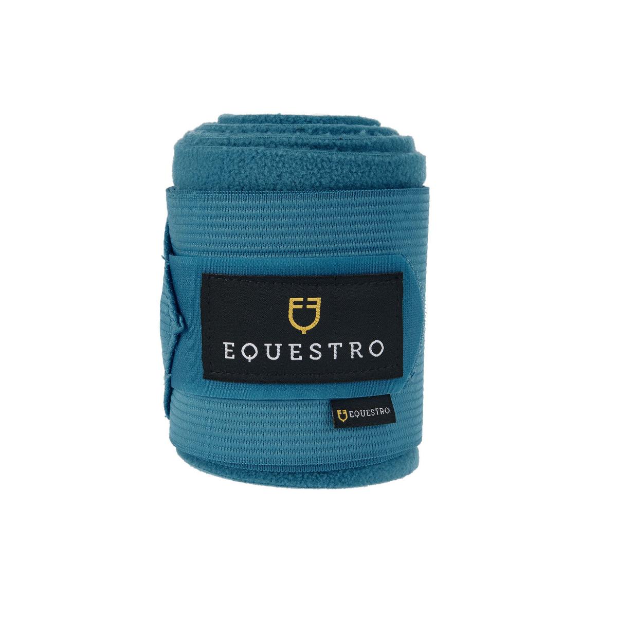 product/e/q/equestro_eth07000-turquoise_turquoise_2.jpg