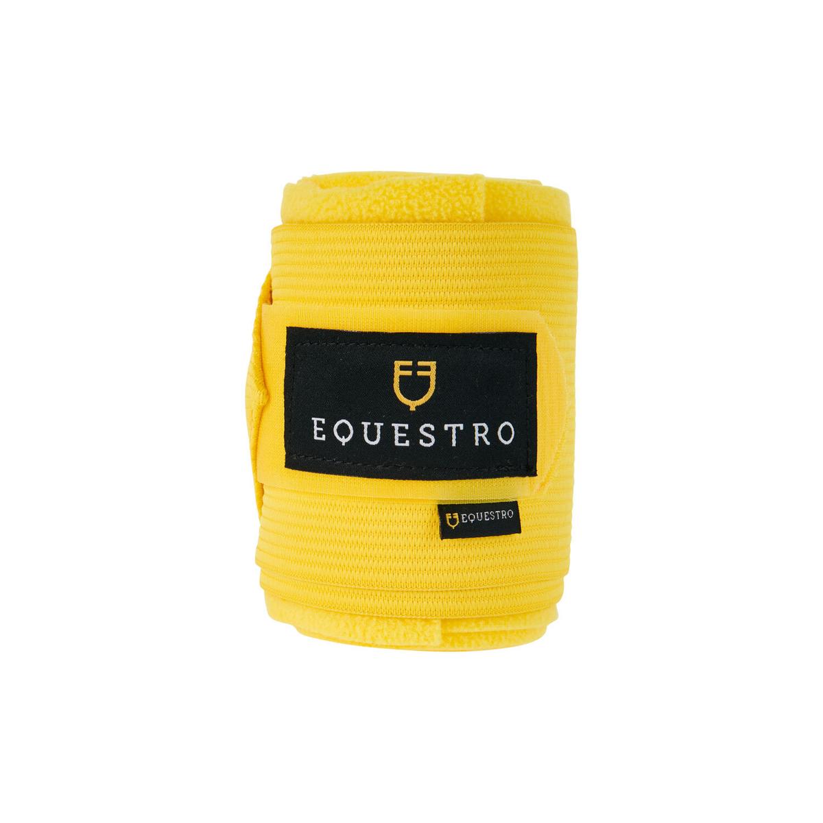 product/e/q/equestro_eth07000-yellow_yellow_2.jpg