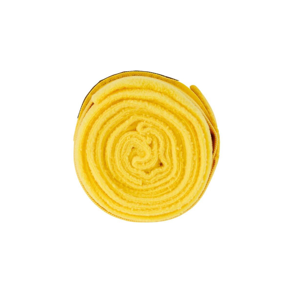product/e/q/equestro_eth07000-yellow_yellow_3.jpg