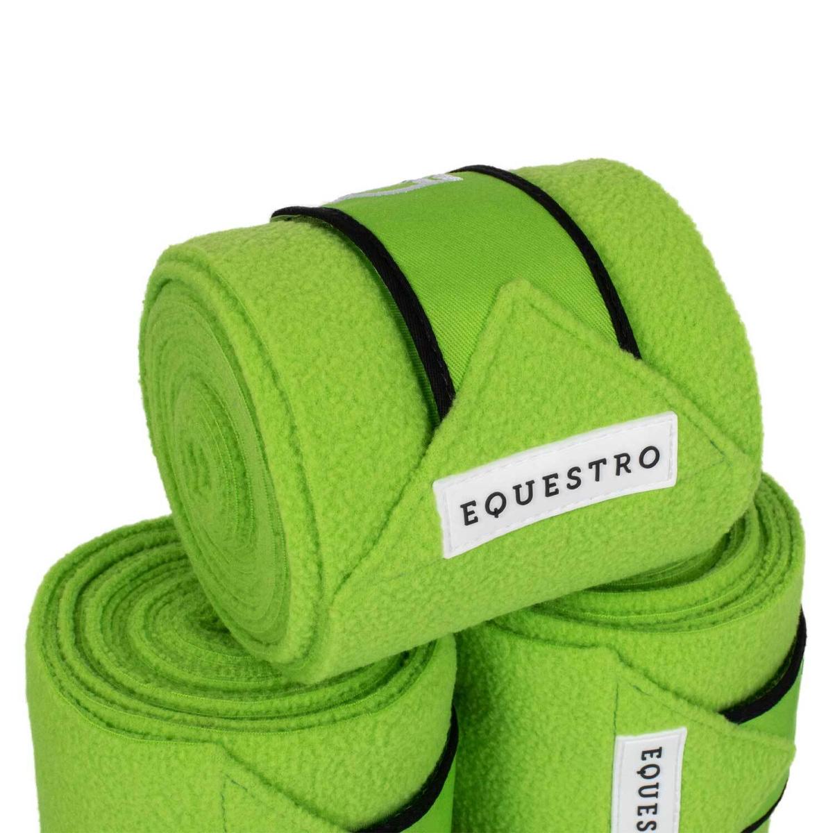 product/e/q/equestro_eth07011-lime_black_lime-black_2.jpg