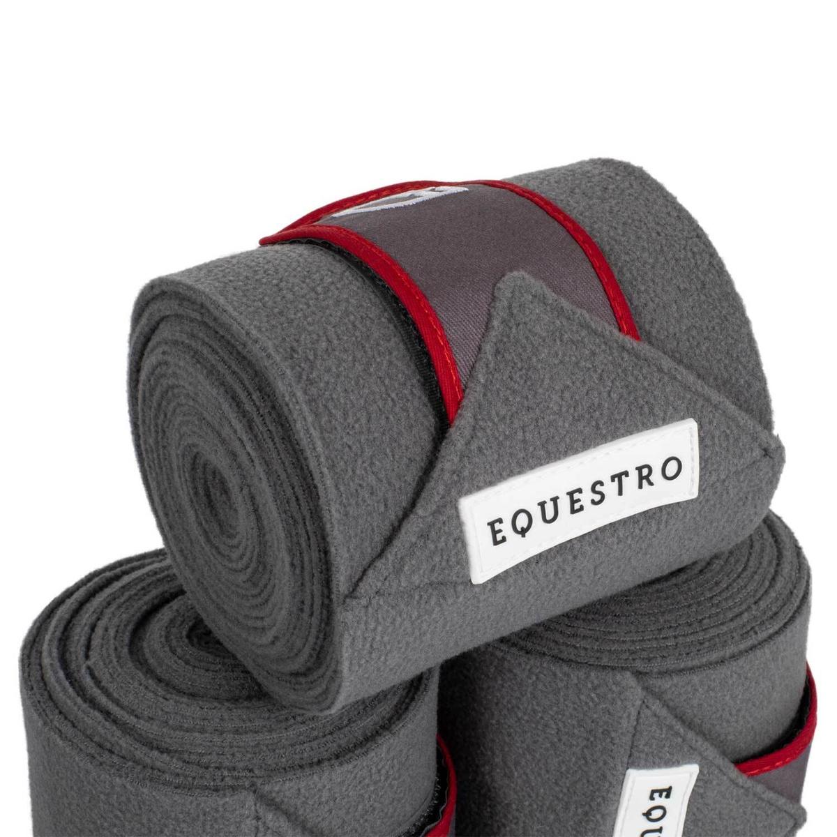 product/e/q/equestro_eth07011p-grey_red_grey-red_2.jpg