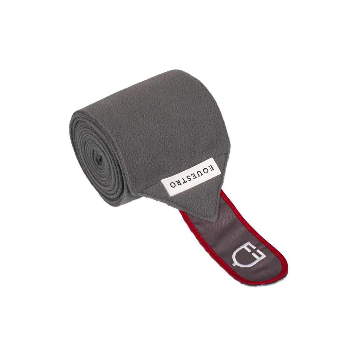 product/e/q/equestro_eth07011p-grey_red_grey-red_3.jpg