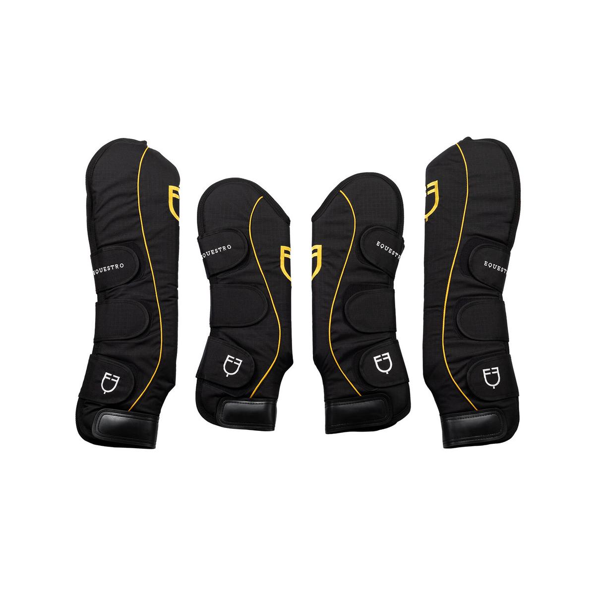 product/e/q/equestro_eth07037-black_black_1.jpg