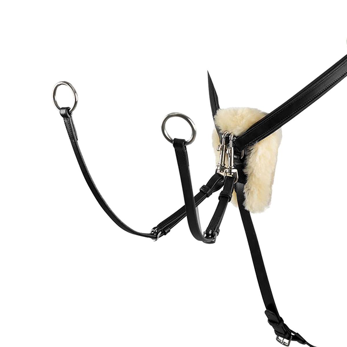 product/e/q/equestro_pe00613-black_black_2.jpg