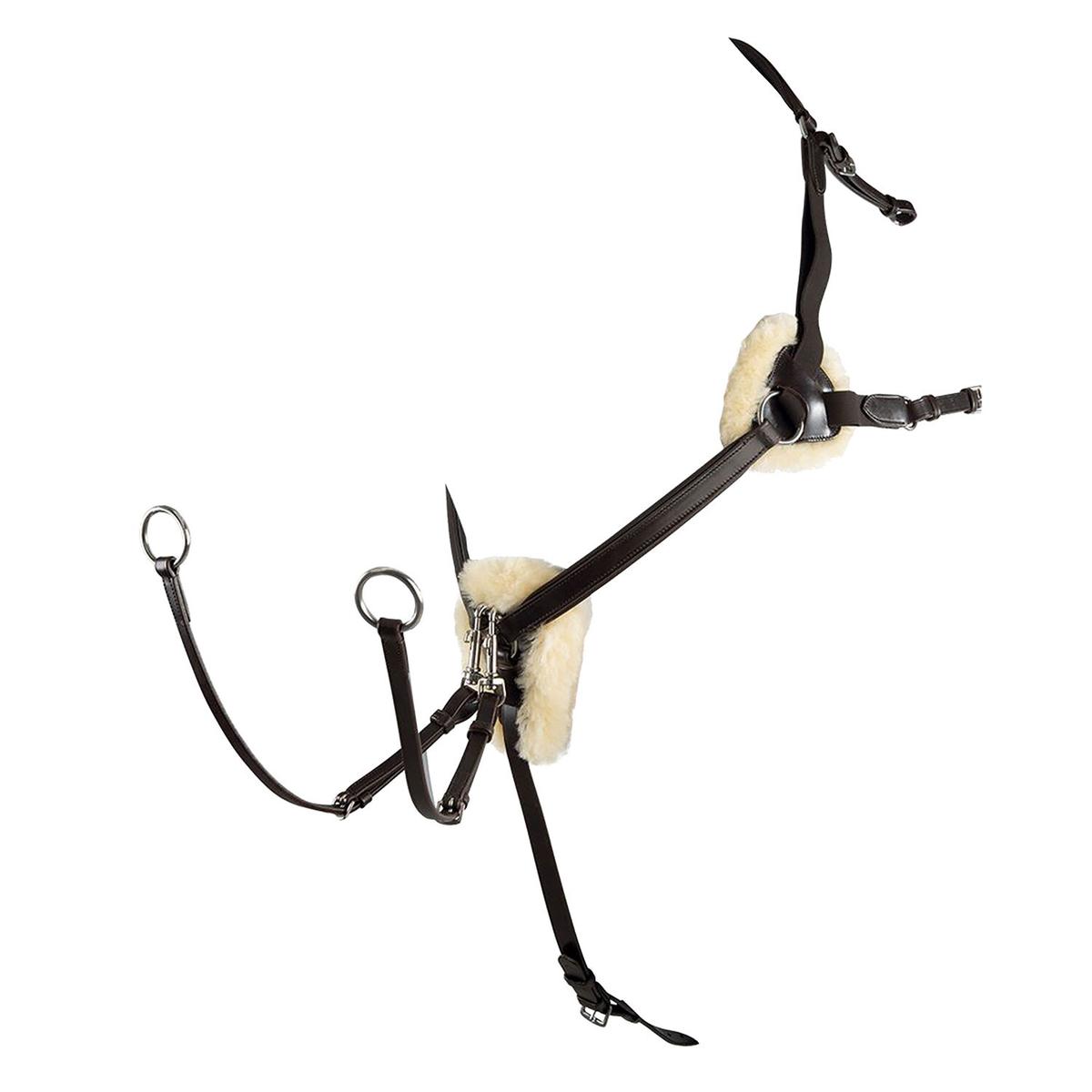 product/e/q/equestro_pe00613-darkbrown_darkbrown_1.jpg
