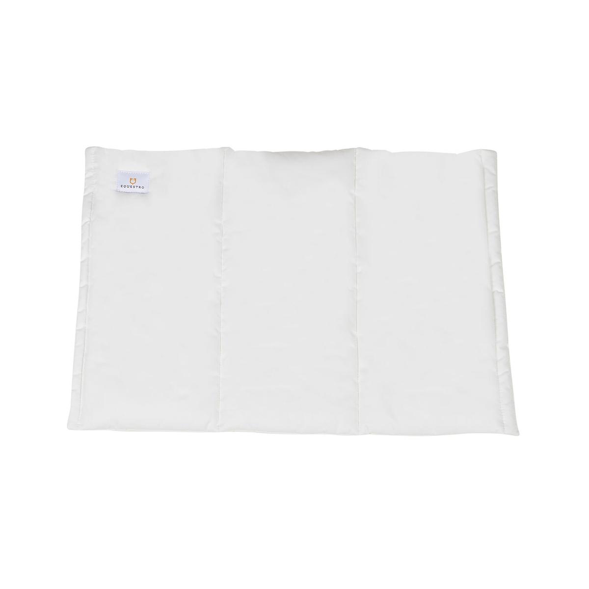 product/e/q/equestro_pr00510-white_white_2.jpg