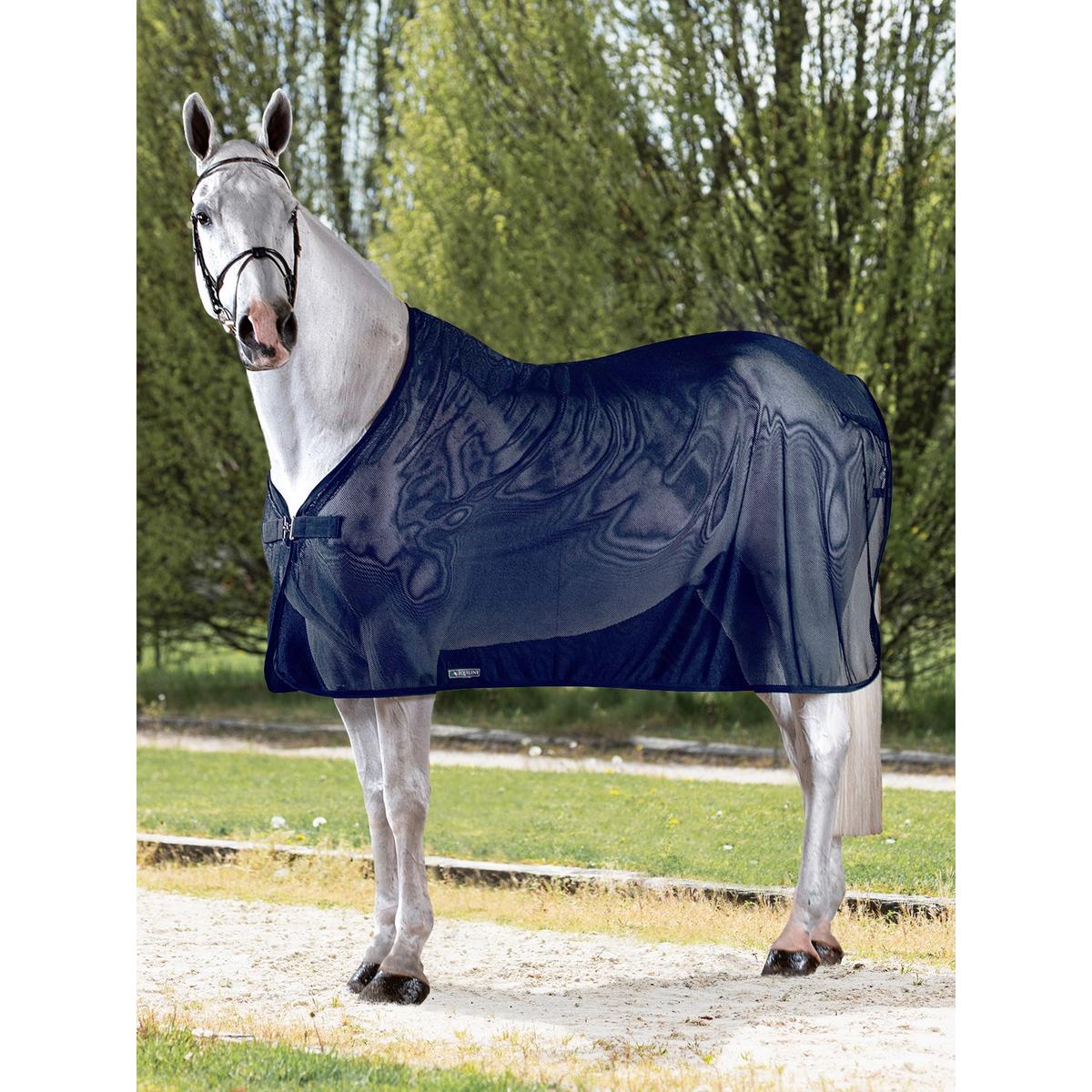 product/e/q/equiline_ec018pa11045-002_bleu_1.jpg
