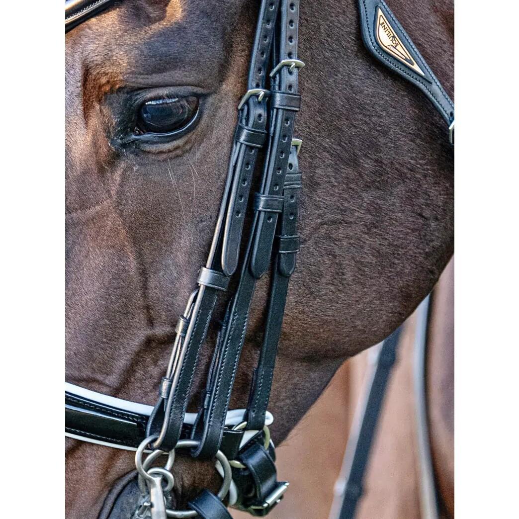 product/e/q/equiline_sc013pcp0003-006_1.jpg