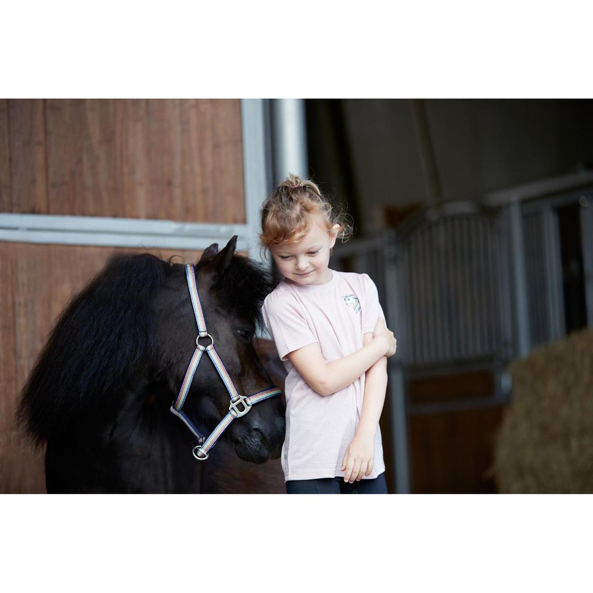 product/e/q/equipage_102911147_ballerina_8.jpg