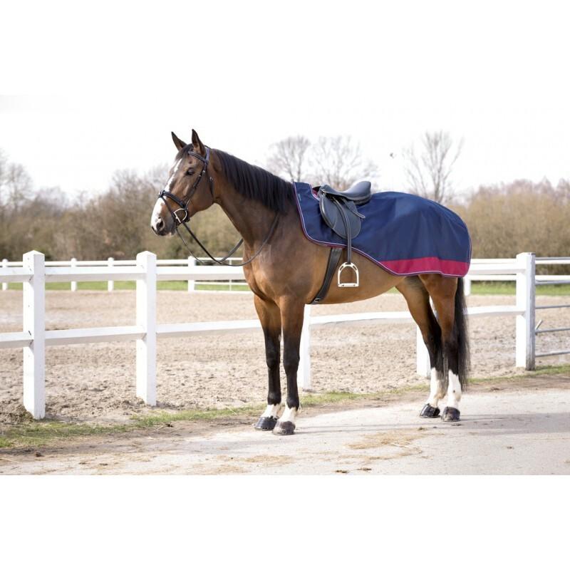 product/e/q/equitheme_400210725.jpg