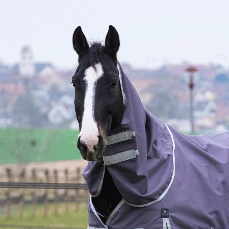 product/e/q/equitheme_400764001_taupe_1.jpg