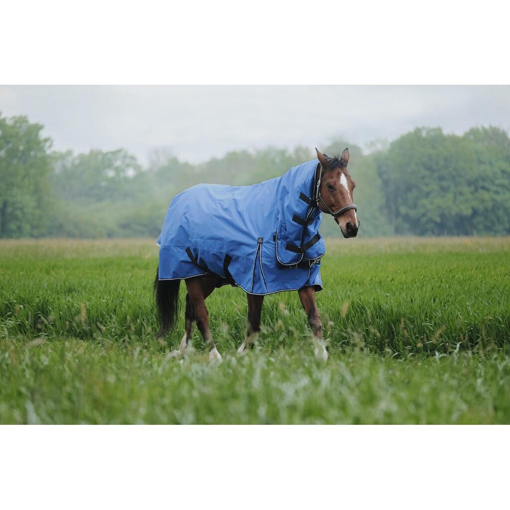 product/e/q/equitheme_400943459_bleu-roi_1.jpg