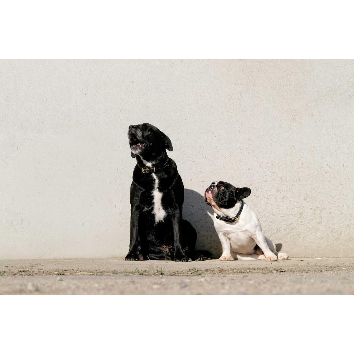 product/e/q/equitheme_409050250_noir_2.jpg