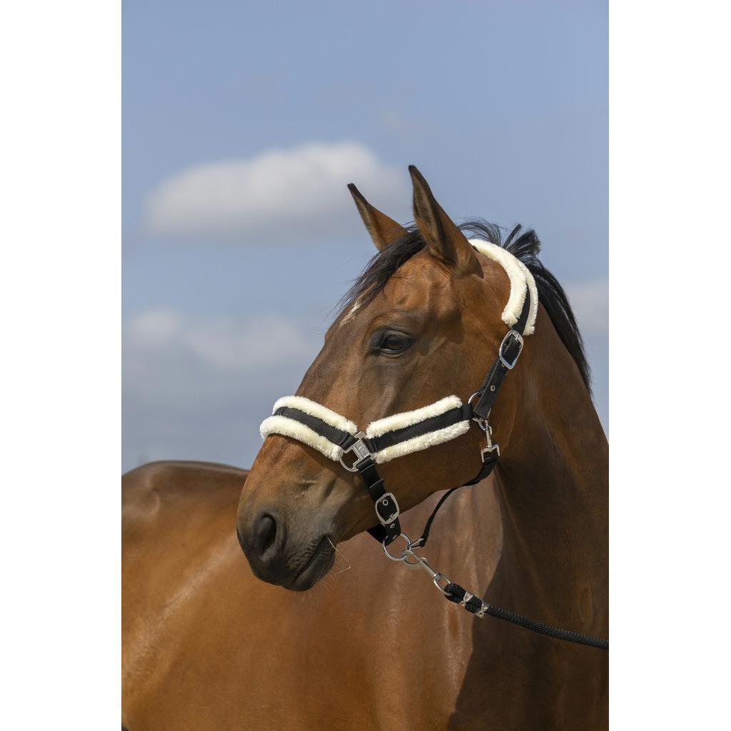 product/e/q/equitheme_510253006_bleu-roi-noir_1.jpg